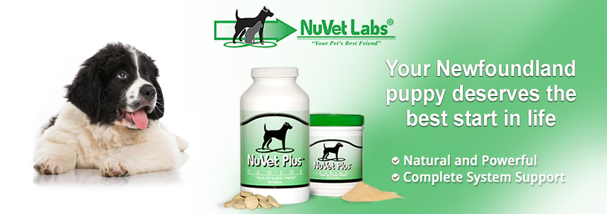 Nuvet product